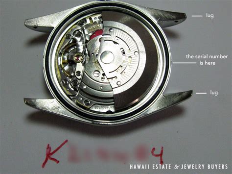 rolex p serial number|rolex movement serial number.